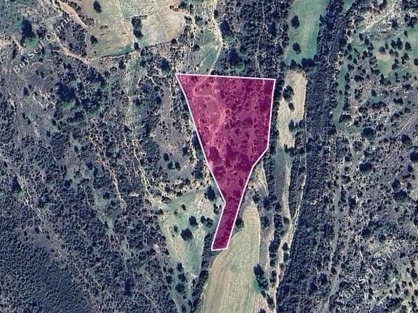 land for sale anogyra limassol 8225083 image 13763239