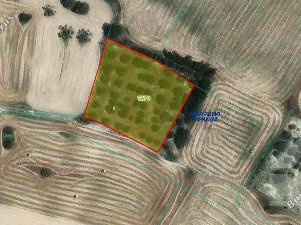 land for sale kalo chorio larnacas larnaca 7905083 image 13487286