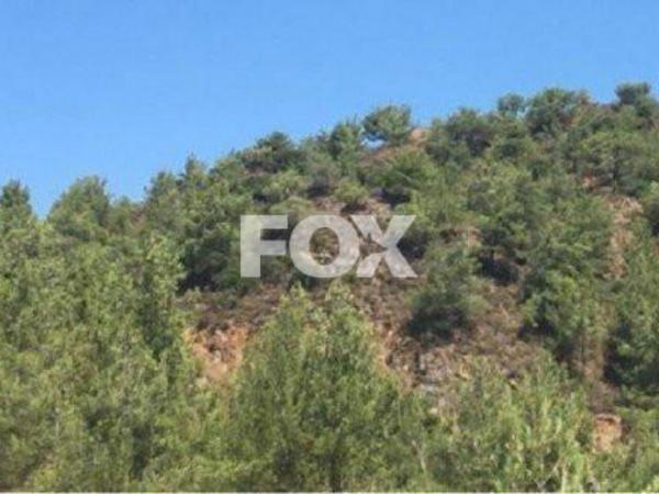 land for sale kato platres limassol 1159083 image 5517249