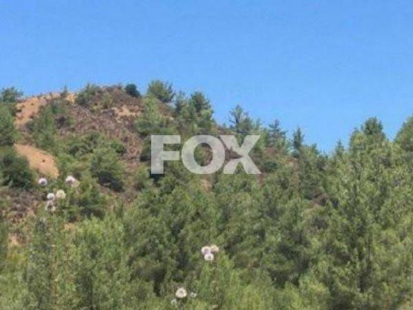 land for sale kato platres limassol 1159083 image 5517251