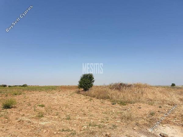 land for sale pera orinis nicosia 8786083 image 16662643