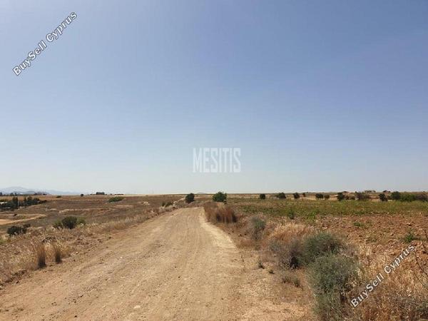 land for sale pera orinis nicosia 8786083 image 16662644