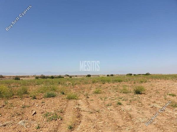 land for sale pera orinis nicosia 8786083 image 16662645