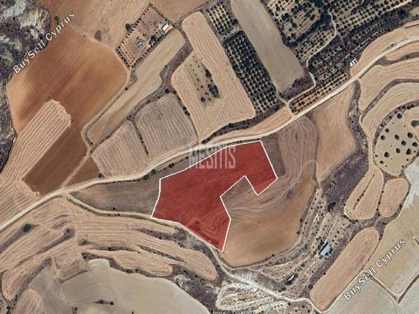 land for sale pera orinis nicosia 8786083 image 16662646