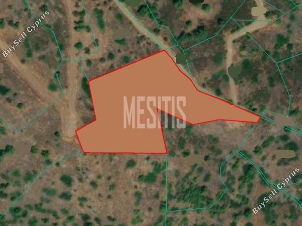 land for sale pigenia nicosia 1087083 image 10490822