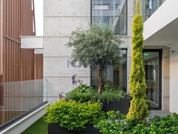 studio commercial building for rent katholiki limassol 8880083 image 17262620