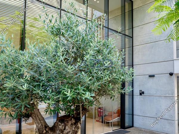 studio commercial building for rent katholiki limassol 8880083 image 17262623