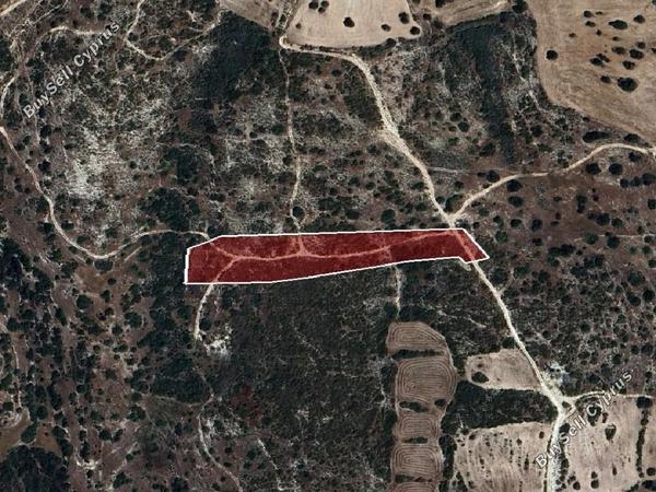 land for sale avdimou limassol 1785183 image 15597726
