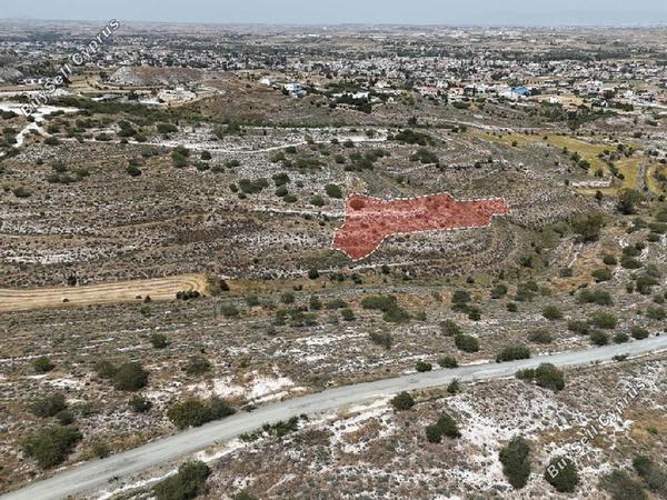 land for sale dali nicosia 8716183 image 16294860