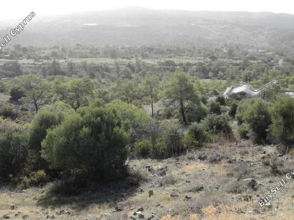 land for sale foinikaria limassol 829183 image 11082185