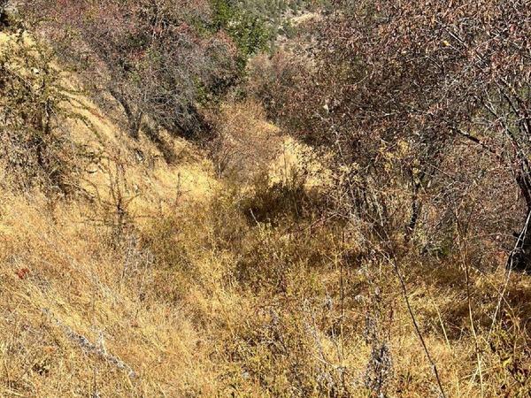 land for sale kannavia nicosia 7580183 image 16132122