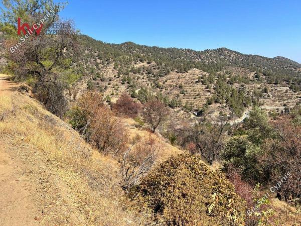 land for sale kannavia nicosia 7580183 image 16132123
