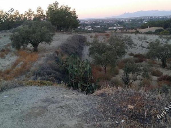plot for sale pera orinis nicosia 1062183 image 16181529