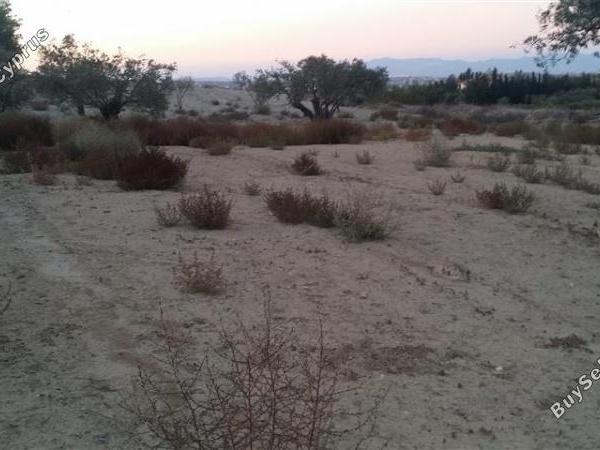 plot for sale pera orinis nicosia 1062183 image 16181531