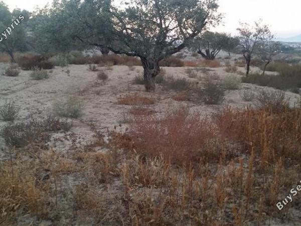 plot for sale pera orinis nicosia 1062183 image 16181534