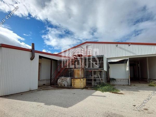 studio warehouse for sale ergates nicosia 8287183 image 14038377