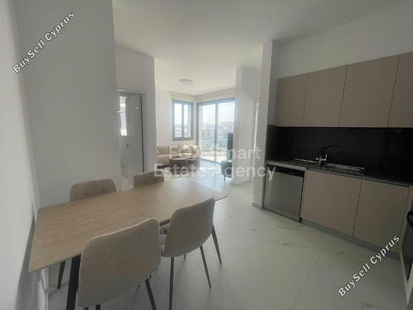 1 bedroom apartment for rent livadia larnacas larnaca 8804283 image 16781936