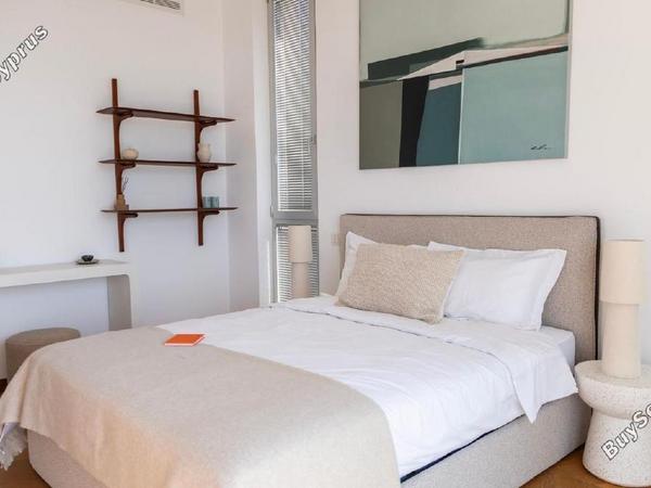 5 bedroom detached house for sale coral bay paphos 8758383 image 16517301