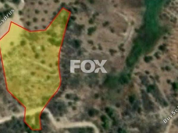 land for sale kinousa paphos 1271383 image 5520028