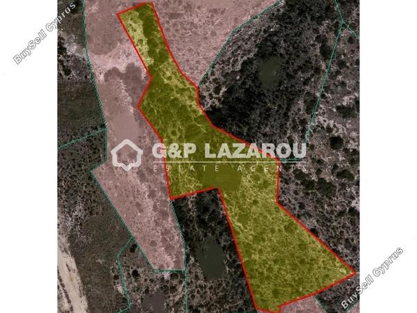 land for sale maroni larnaca 1685383 image 6010211