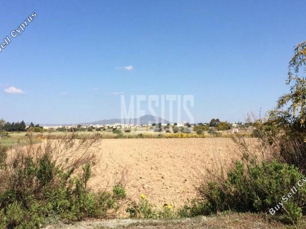 land for sale mazotos larnaca 1822383 image 10547460