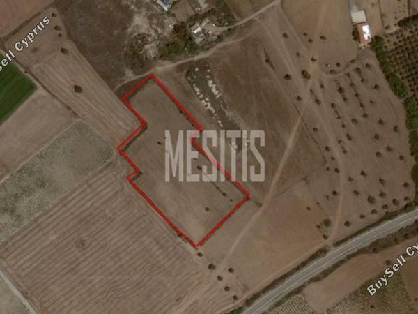 land for sale mazotos larnaca 1822383 image 10547461
