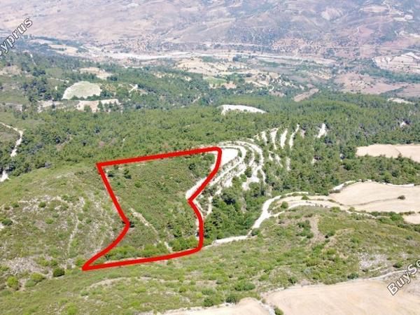land for sale prastio paphos 984383 image 5481226