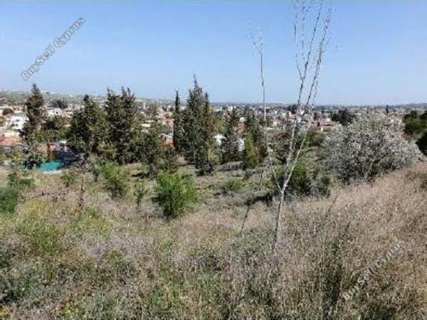 plot for sale pera chorio nisou nicosia 1362383 image 5637642