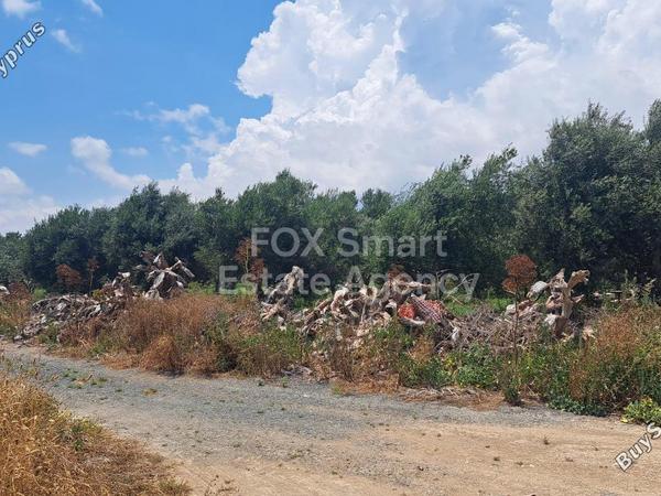 land for sale kiti larnaca 8758483 image 16519312
