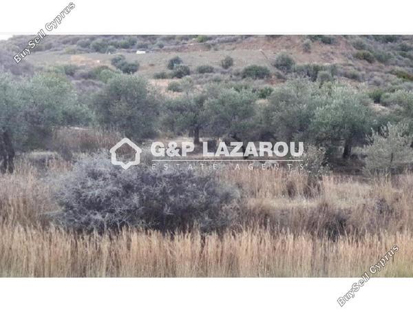 land for sale ora larnaca 1659483 image 5312845