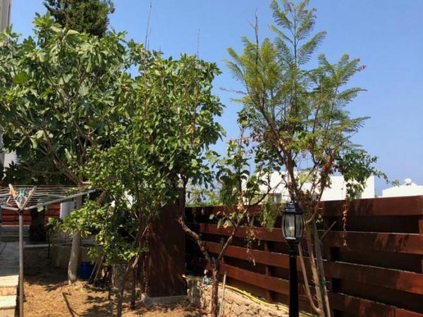 3 bedroom detached house for sale chlorakas paphos 1355583 image 5637655