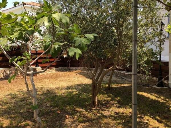 3 bedroom detached house for sale chlorakas paphos 1355583 image 5637657