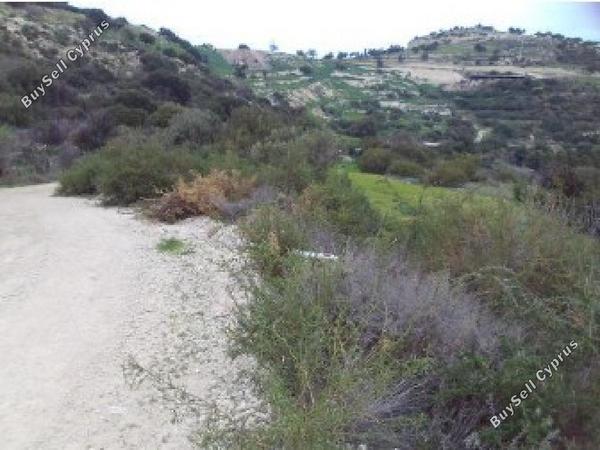 land for sale drousia paphos 8526583 image 15595047