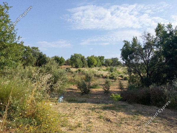 land for sale giolou paphos 944583 image 15598894