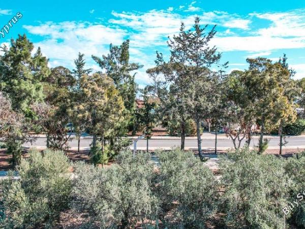 land for sale kiti larnaca 957583 image 5591969
