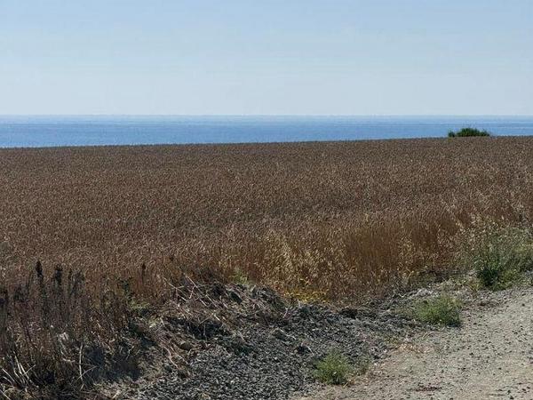 3 bedroom detached house for sale pervolia larnaca 8782683 image 16645482