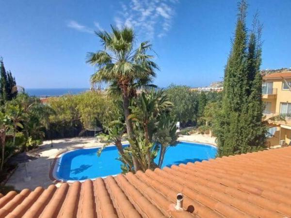 1 bedroom apartment for sale peyia paphos 8336783 image 14336168