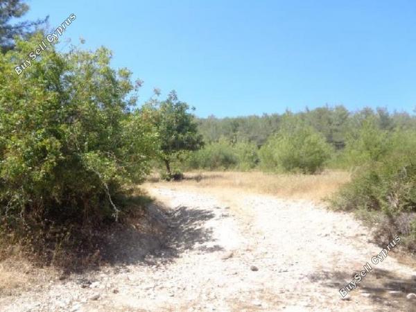 land for sale archimandrita paphos 1810783 image 15597634