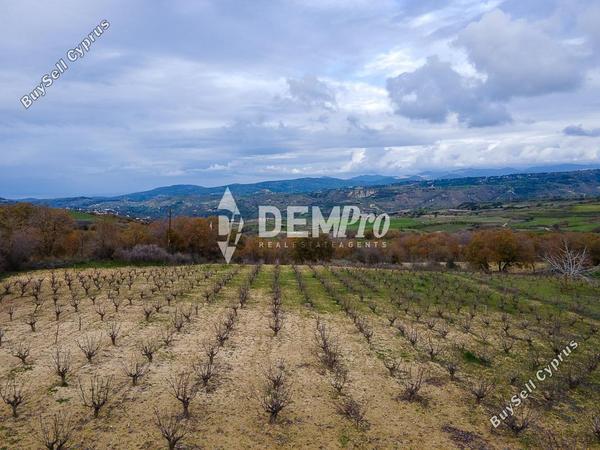 land for sale stroumbi paphos 7842783 image 17076034