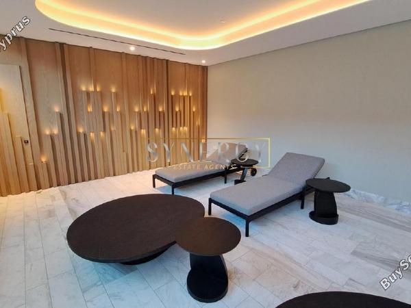 1 bedroom apartment for rent potamos germasogeias limassol 8633883 image 16339675