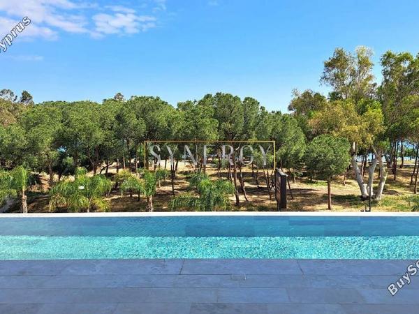 1 bedroom apartment for rent potamos germasogeias limassol 8633883 image 16339687