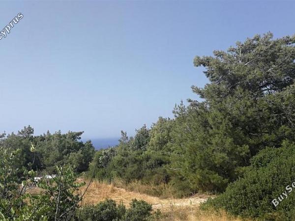 land for sale neo chorio paphos 839883 image 5480428