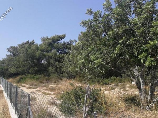 land for sale neo chorio paphos 839883 image 5480432