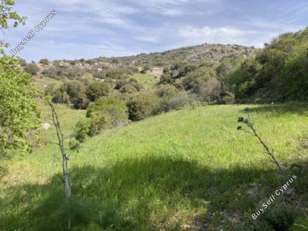 land for sale peristerona pafou paphos 8433883 image 15594786