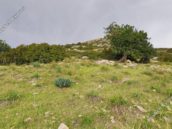 land for sale peyia paphos 8529883 image 15779569