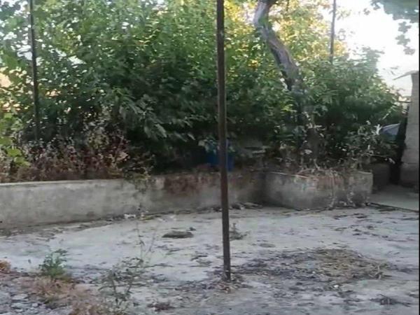 3 bedroom detached house for sale farmakas nicosia 8692983 image 16245395