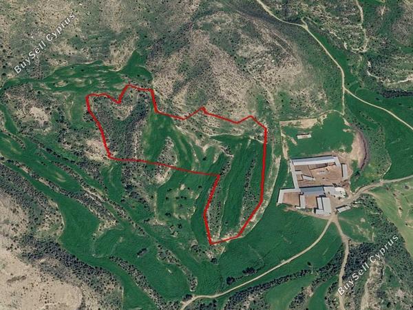 land for sale agios theodoros larnacas larnaca 8457983 image 15106298