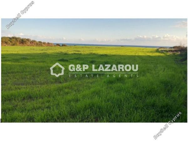 land for sale mazotos larnaca 1842983 image 6600494