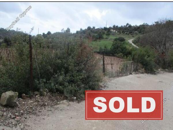 land sold peyia paphos 915983 image 798366