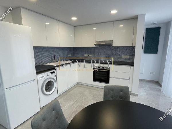 2 bedroom semi detached house for rent potamos germasogeias limassol 8792093 image 16692565
